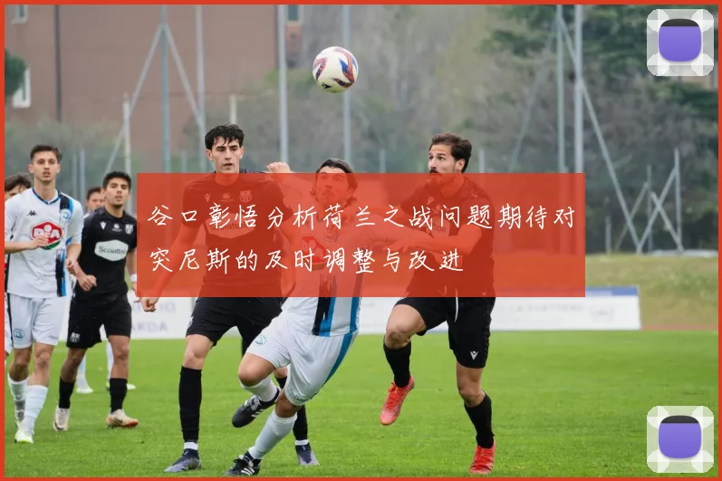 谷口彰悟分析荷兰之战问题期待对突尼斯的及时调整与改进